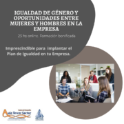 IGUALDAD DE GENERO EN LA EMPRESA - Aula Tercer Sector